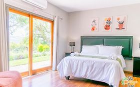 The Orange Tree Guest House
